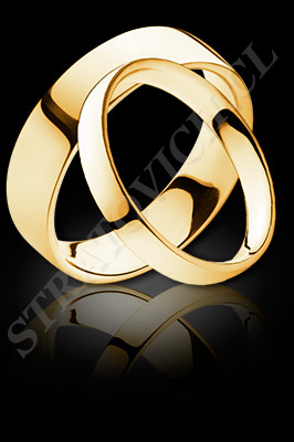 ARGOLLAS de MATRIMONIO de oro amarillo de 18 kilates (El modelo: AM0039). Santiago, Chile, Ñuñoa